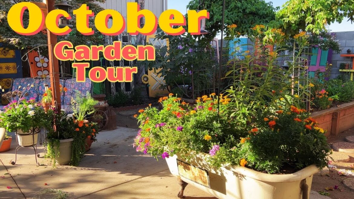 October Backyard Garden Tour 🌞🧡 October Backyard Garden Tour 🌞🧡