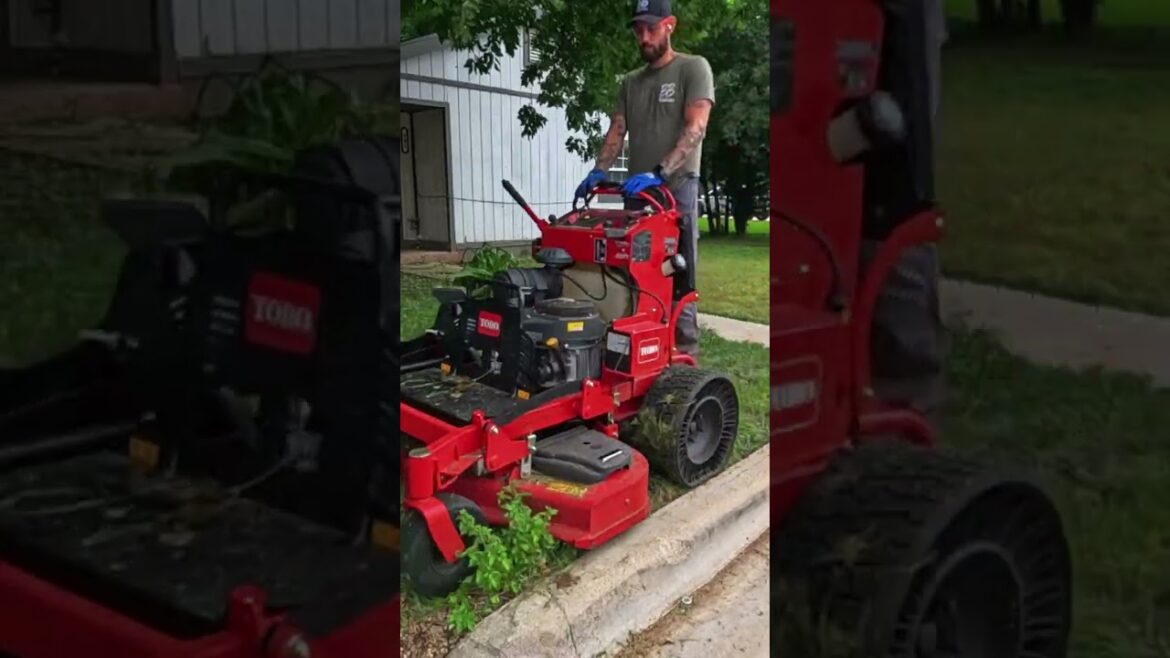 Blink and You’ll Miss This Epic Yard Makeover! Blink and You’ll Miss This Epic Yard Makeover!