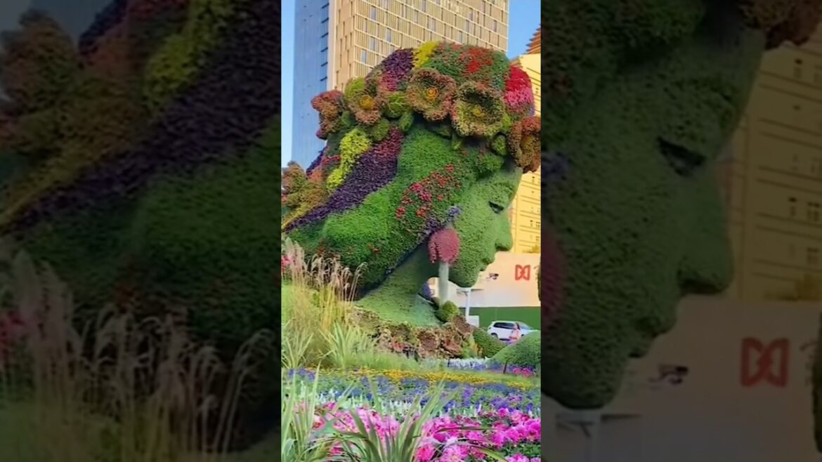 Beautiful Dubai park#flowers #roseflowergarden #flowertypes #nature #nature #beautifulflower #park Beautiful Dubai park#flowers #roseflowergarden #flowertypes #nature #nature #beautifulflower #park