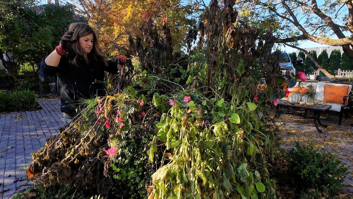 Cleaning Out 3 Annual Beds! So Satisfying! ☺️🍂🥀 // Garden Answer