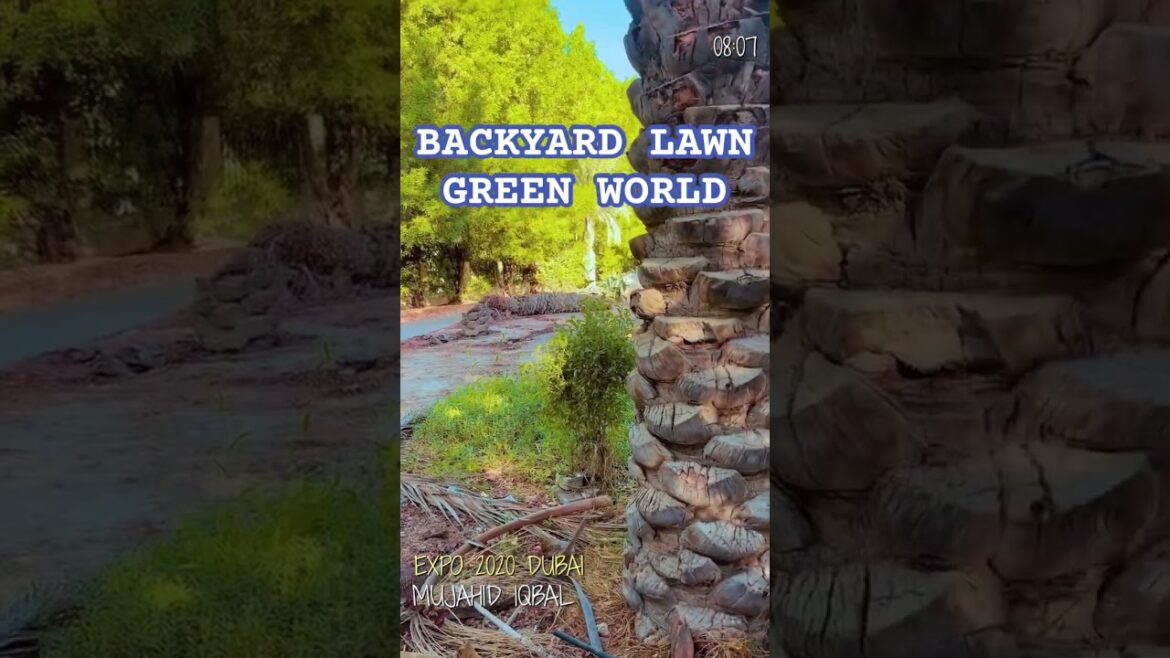 The green world soothing eyes #greenscreen #green #nature #naturelovers #lawn #natural #dubai #dxb