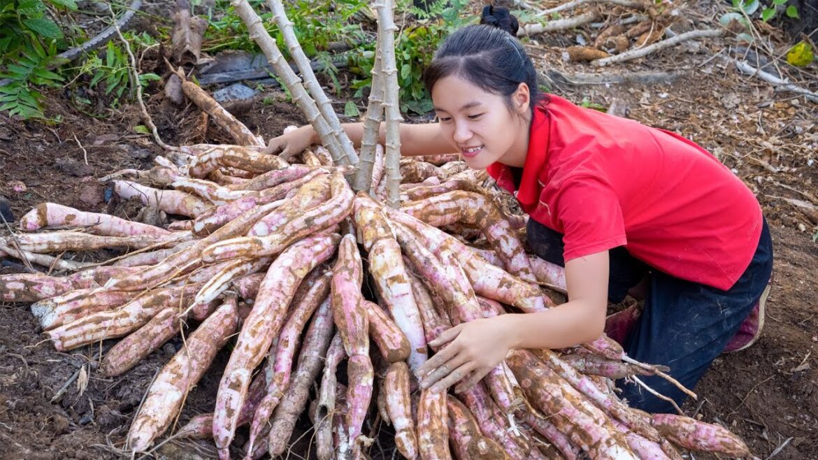 150 days harvest fruit and vegetable, gardening, catch fish in stream | Tieu Tam Daily Life