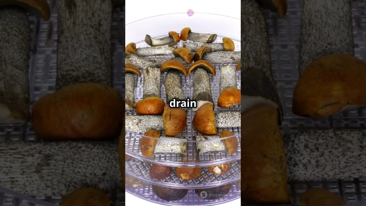 Growing Mushrooms at Home #shorts #gardeningtips #mushroomgrowing #garden #youtubeshorts Growing Mushrooms at Home #shorts #gardeningtips #mushroomgrowing #garden #youtubeshorts