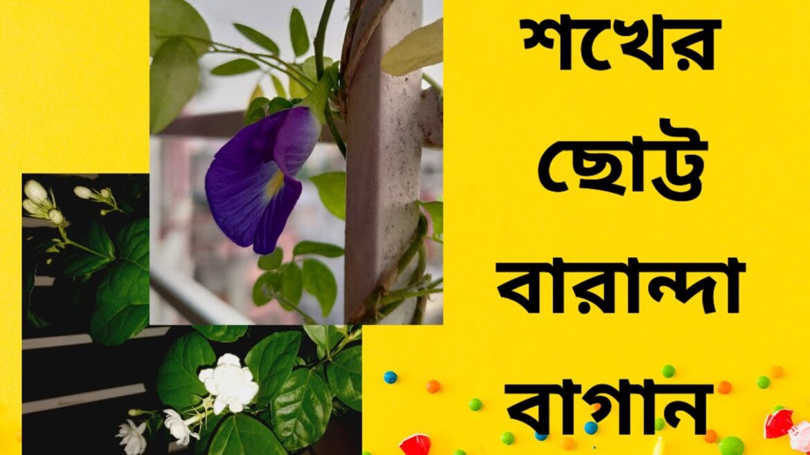 আমার শখের ছোট্ট বারান্দা বাগান #vlog-2  @tasmim  @everyone @subscribeme1992 #minivlog #