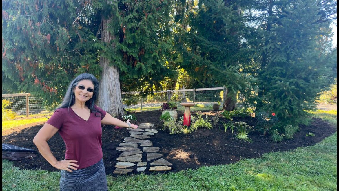 Creating A Shade Garden And Overcoming Obstacles Creating A Shade Garden And Overcoming Obstacles