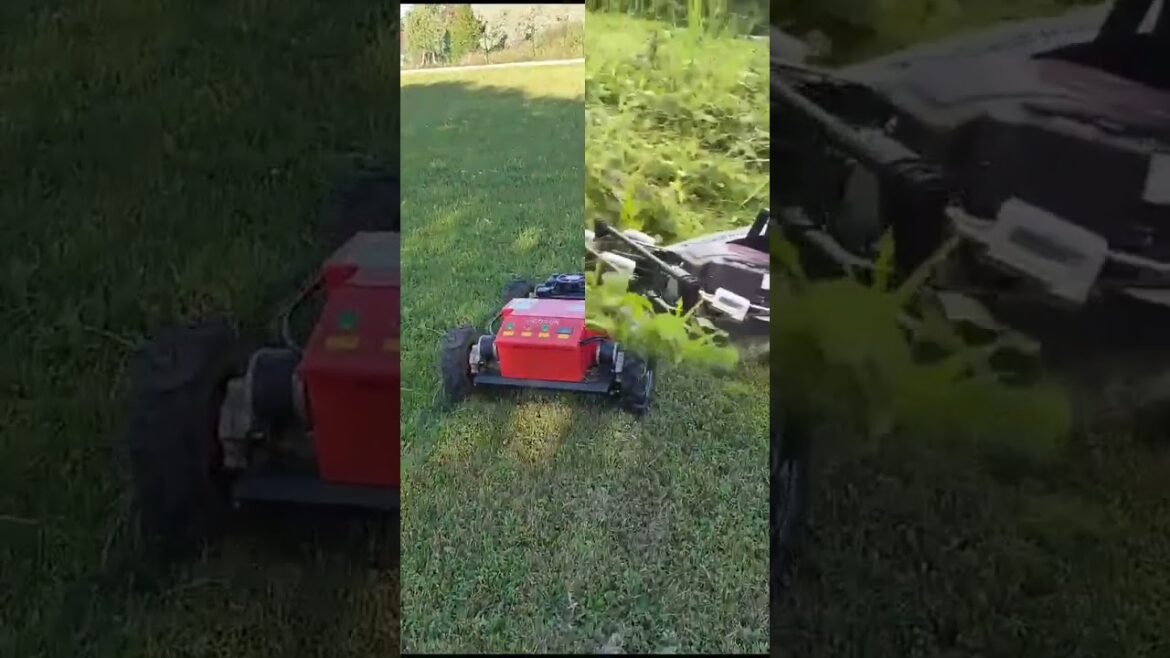#remote #remotecontrol #mowers  Vigorun RC wheeled mower for sale