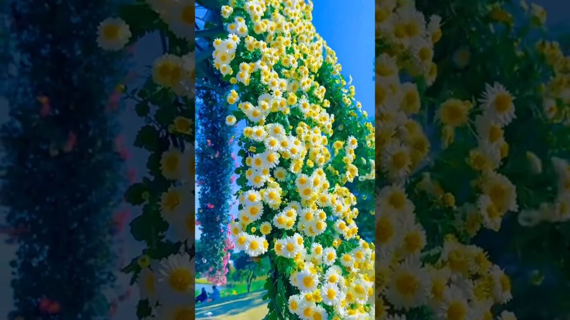 The Most Beautiful Gardens in the World The Most Beautiful Gardens in the World