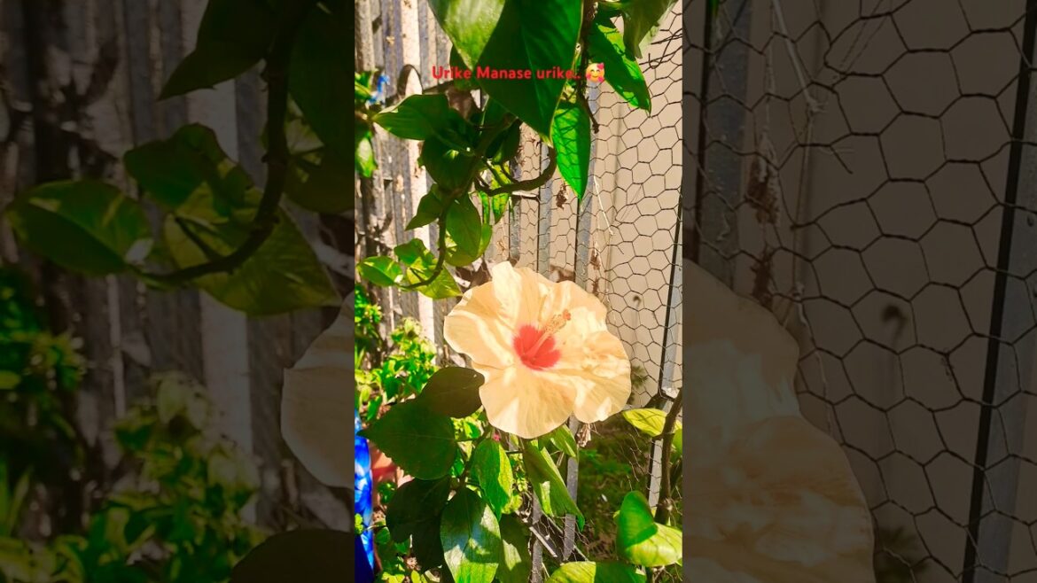 The Surprising Science of Flower Trends... #shorts