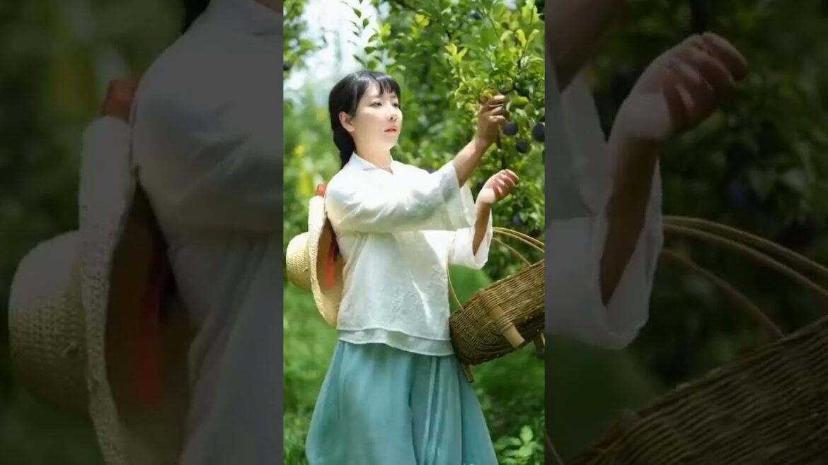 Japanese garden #shortsvideos@FamilyEntertainmentBd