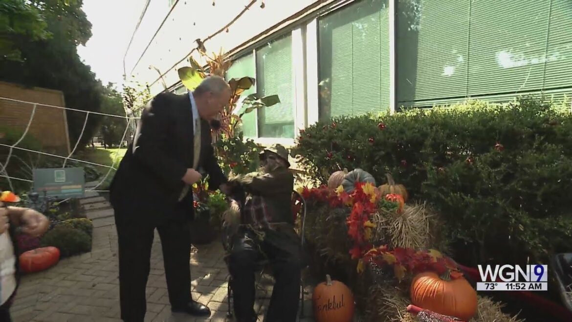 The Gardener's Toolbox:  Tips for Halloween patio decorating!