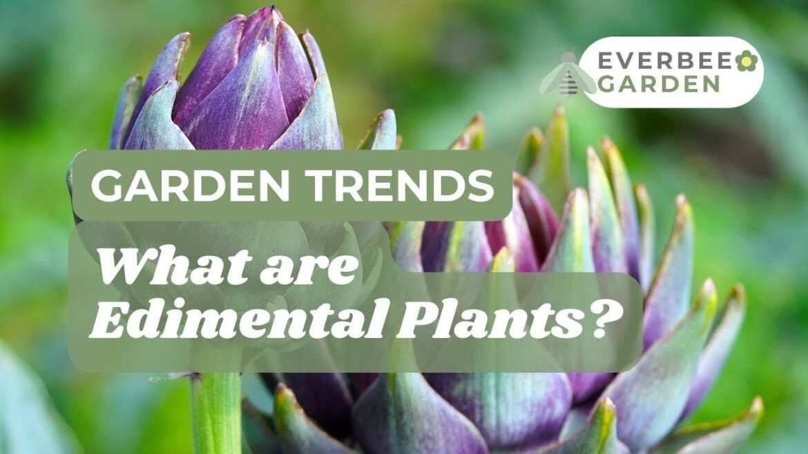 Garden Trends 2024 🌳 - What are Edimental Plants? | EVERBEE - GARDEN