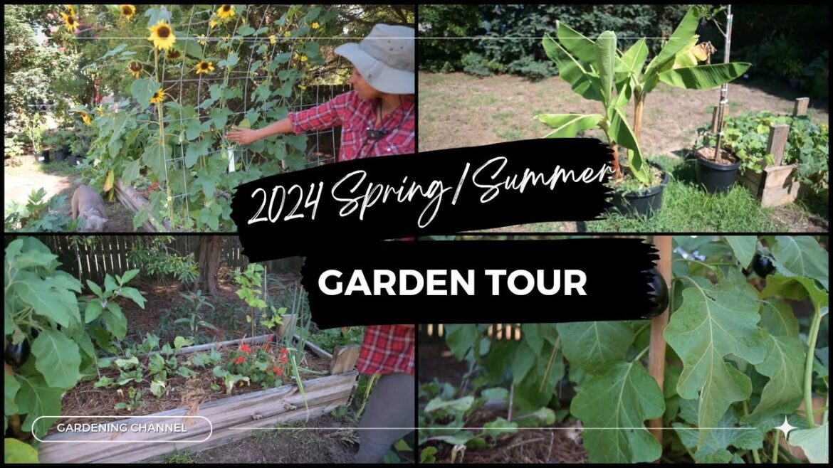 2024 Spring & Summer Garden Tour | Vibrant Blooms, Lush Greenery & Gardening Tips 2024 Spring & Summer Garden Tour | Vibrant Blooms, Lush Greenery & Gardening Tips