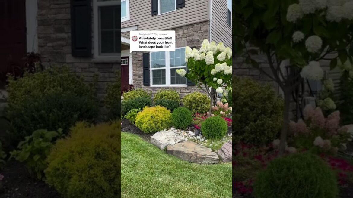 Front Yard with Stunning Landscape Design