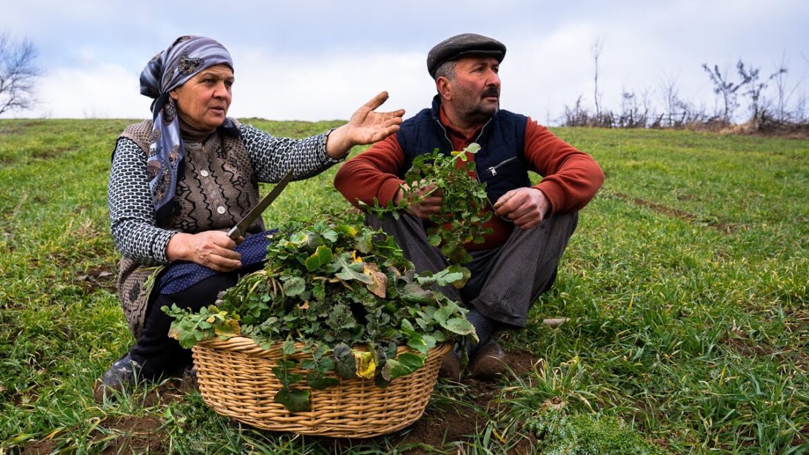 Harvesting Edible Winter Herbs for a Delicious Pie