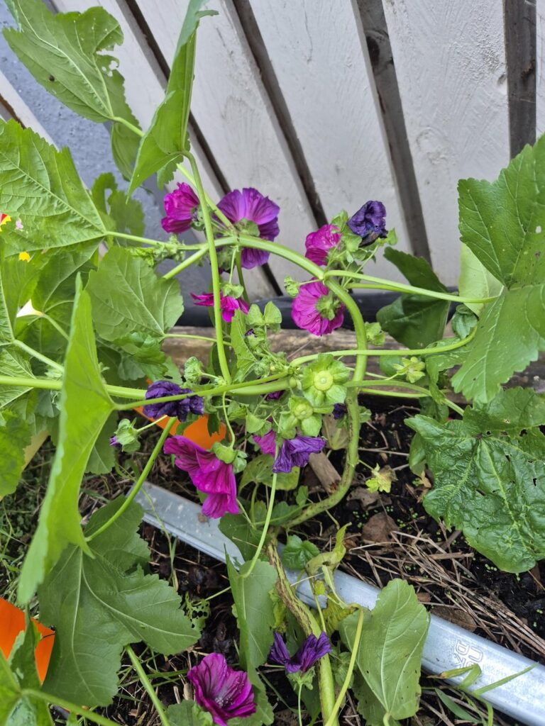 Any ideas on this?