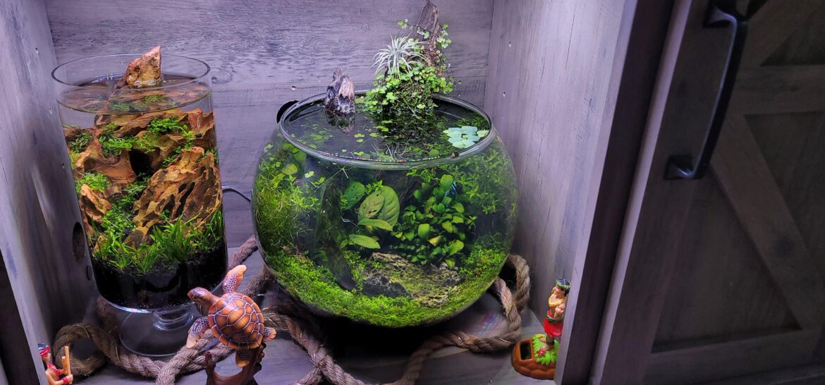 Here's my no tech bowl at 2.5 years old.