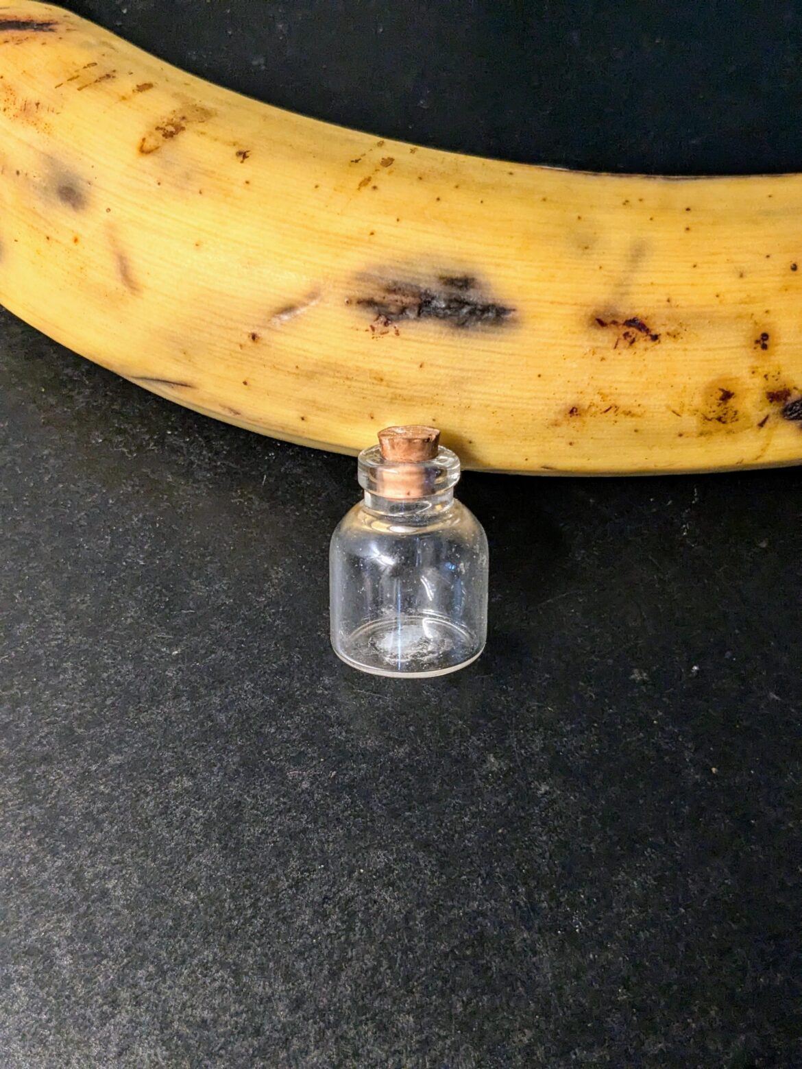 What is this?! a Jarrarium for an ant?!
