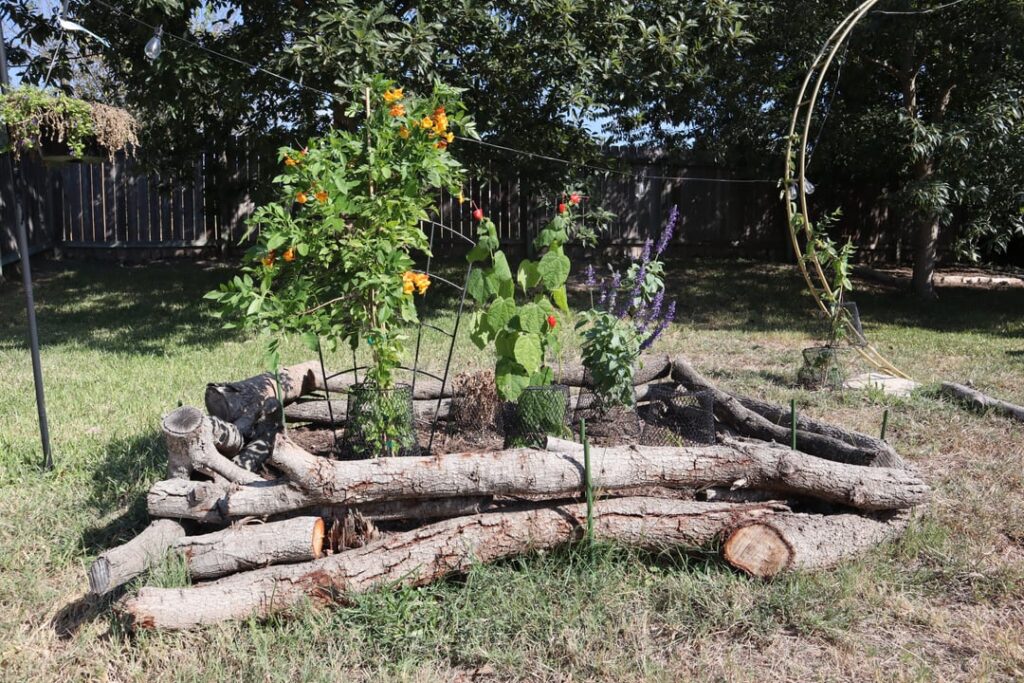 I don't know what I'm doing, but I'm having a good time