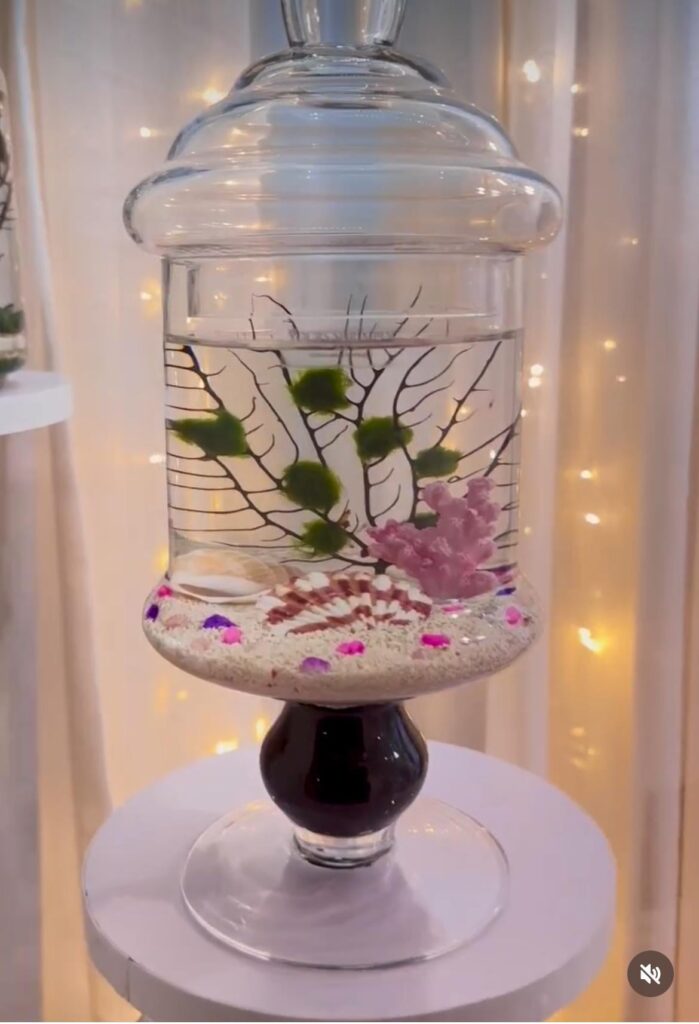 Do yall think this tank with artificial decorations will still look nice after algae grow on it?
