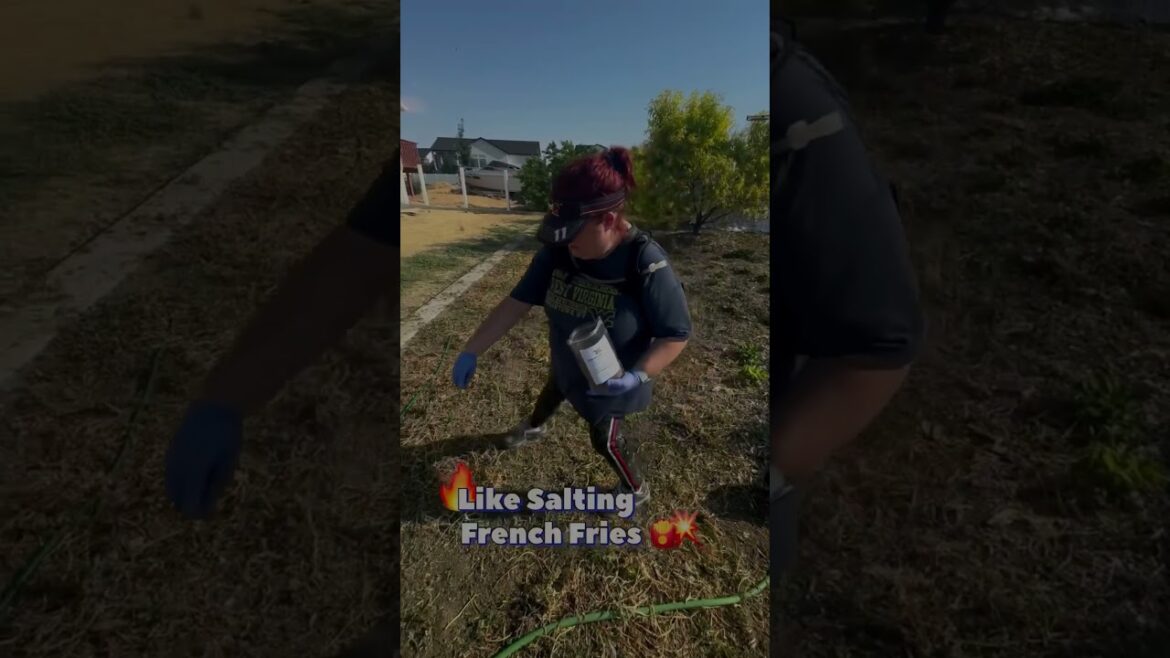 Turning my Front Yard Lawn into a HUGE Arugula Patch! $500 Weekly at the Farmers Markets ! #fyp #wow Turning my Front Yard Lawn into a HUGE Arugula Patch! $500 Weekly at the Farmers Markets ! #fyp #wow