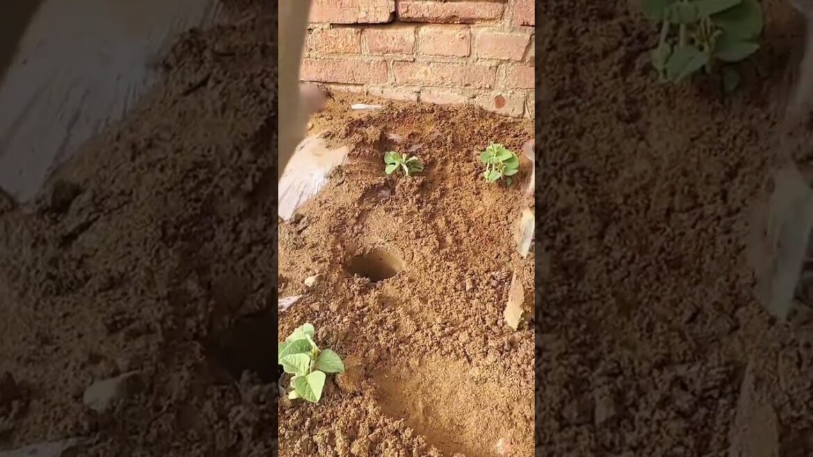 Gadget adventures AD Latest Trends and Innovations #shorts  #unboxing