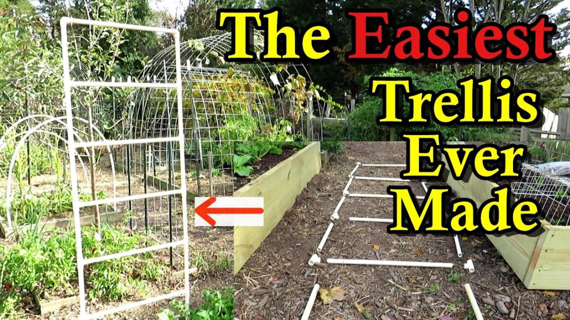How to Build PVC Ladder Trellises in Any Shape & Size You Want (Easy Build, Assembly, & Storage)