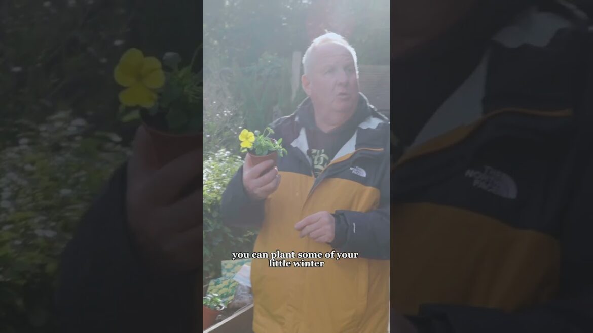 Winter gardening tips from Neil Miller | Country Living UK