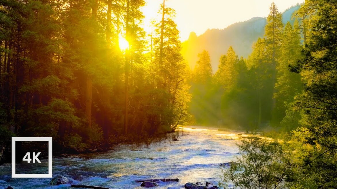 Golden Sunrise on Merced River, Yosemite | 4K Relaxing Nature Scene | Relaxing River Sounds | 6 Hour Golden Sunrise on Merced River, Yosemite | 4K Relaxing Nature Scene | Relaxing River Sounds | 6 Hour