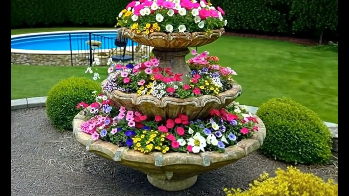 ❤️inspiring Garden || Charming Beauty🤩💘 ❤️inspiring Garden || Charming Beauty🤩💘