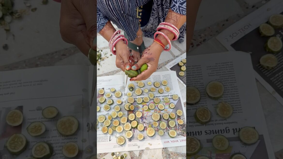 हरियाणवी देसी सब्ज़ी🥰 #vegetable #storage #balconygarden #yt #ytshorts #nature #natural #trending