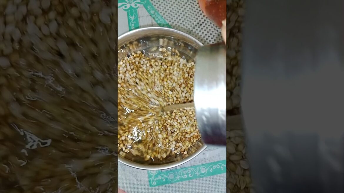 इस तरीके से उगाये धनिया  💯 उगेगा#gardening #shorts#terracegarde