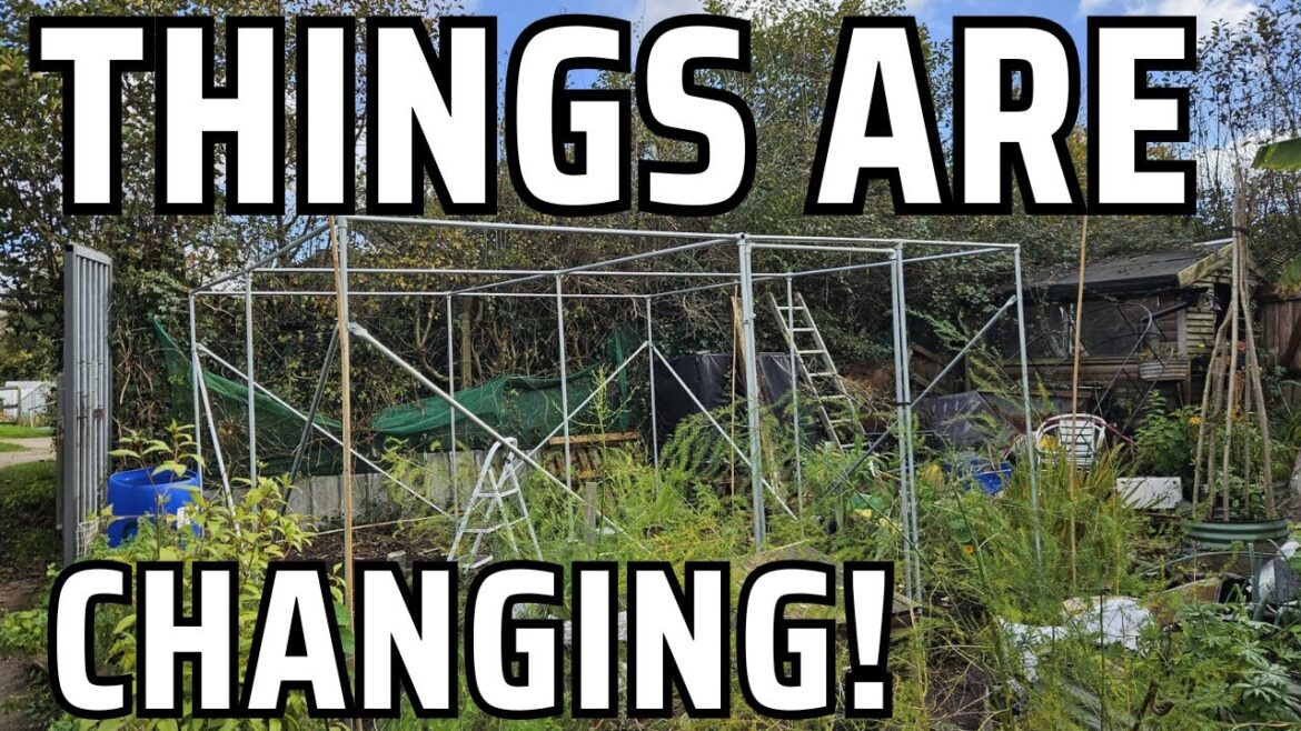 Garden structures are going up and down!