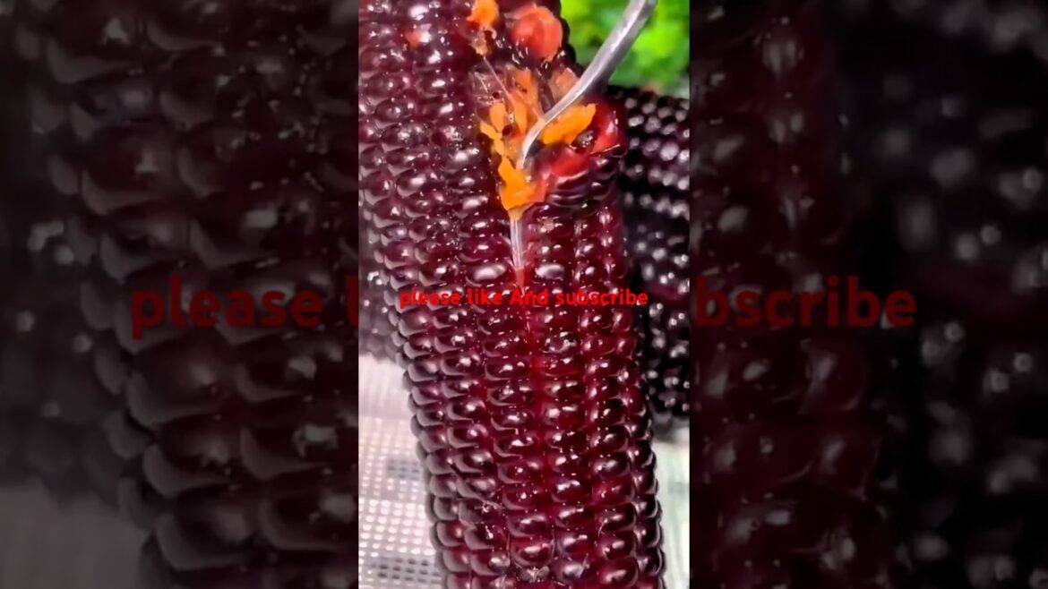 picture of other classroom Little Johnny's😂😃#facts #gadgets #trending #shorts #short #music #like