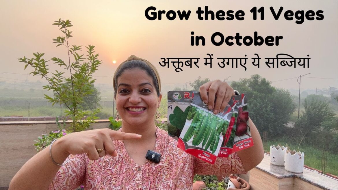 Grow these 11 Vegetables in October | अक्टूबर में ये सब्ज़ियाँ लगाएँ #vegetablegarden Grow these 11 Vegetables in October | अक्टूबर में ये सब्ज़ियाँ लगाएँ #vegetablegarden