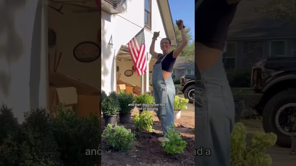 Charleston Landscaping Transformation At Home With Bae X Garden Goods Direct Collab Part II
