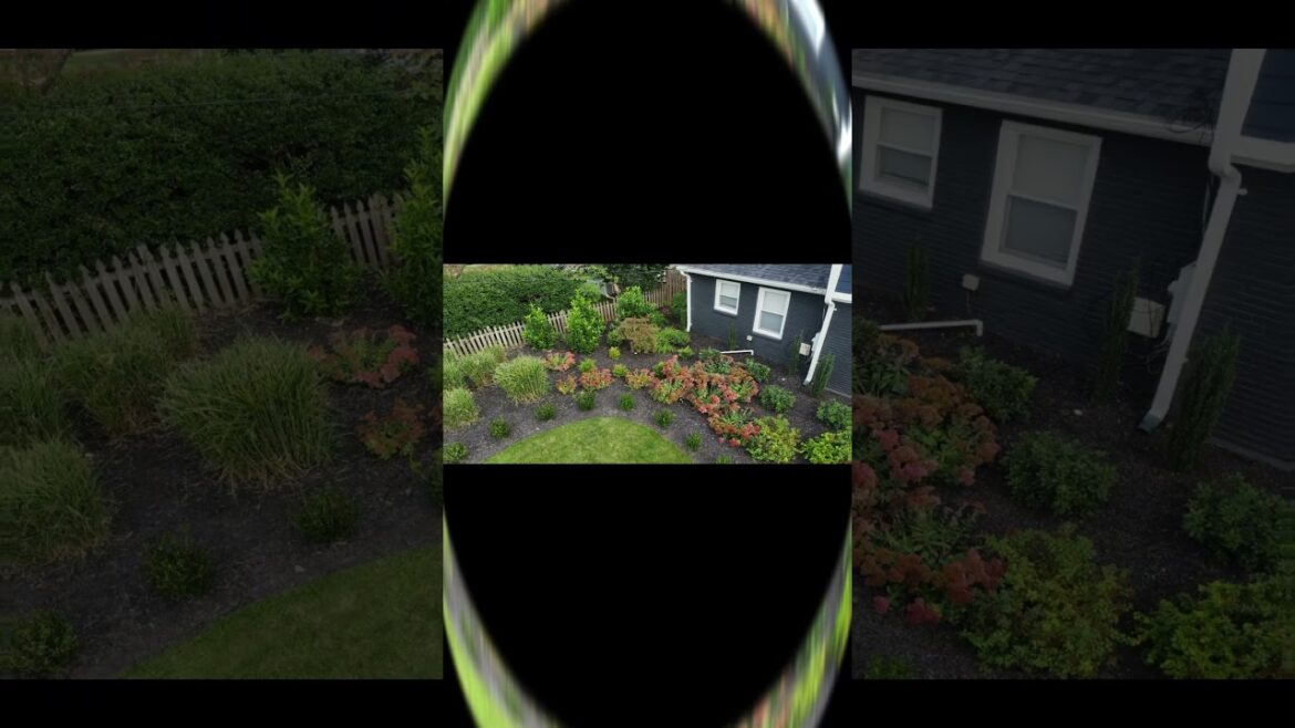 Ultimate Front Yard Makeover! Don’t miss out!