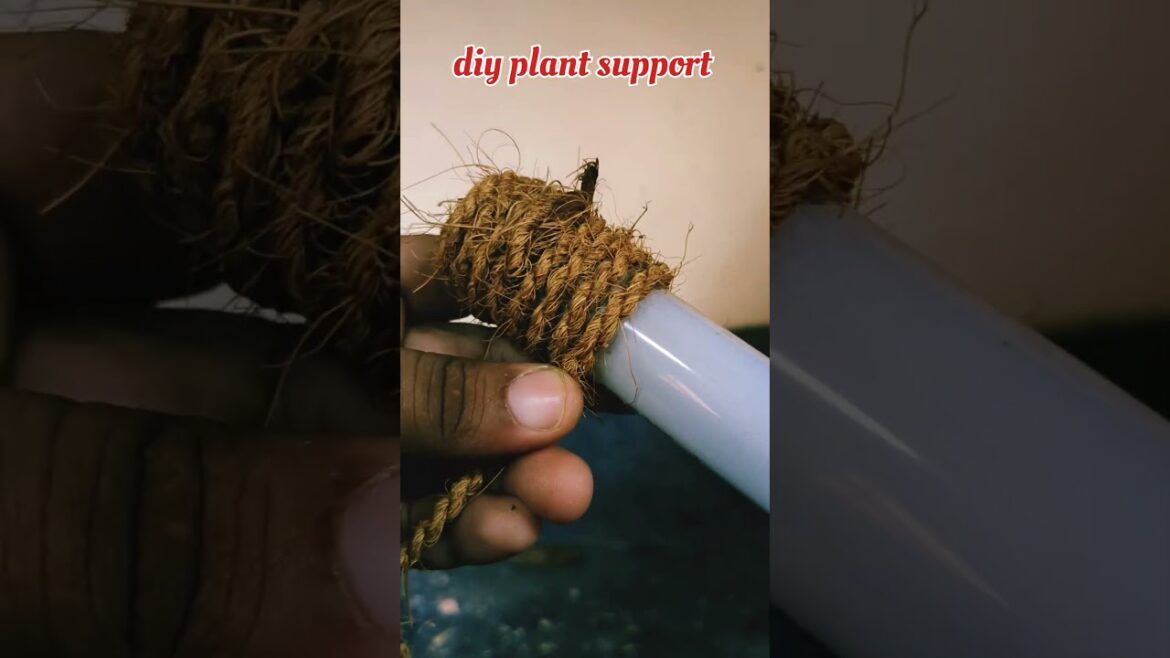 DIY plant supporter #shorts #shortsfeed #trending #indoorplants #youtubeshorts DIY plant supporter #shorts #shortsfeed #trending #indoorplants #youtubeshorts