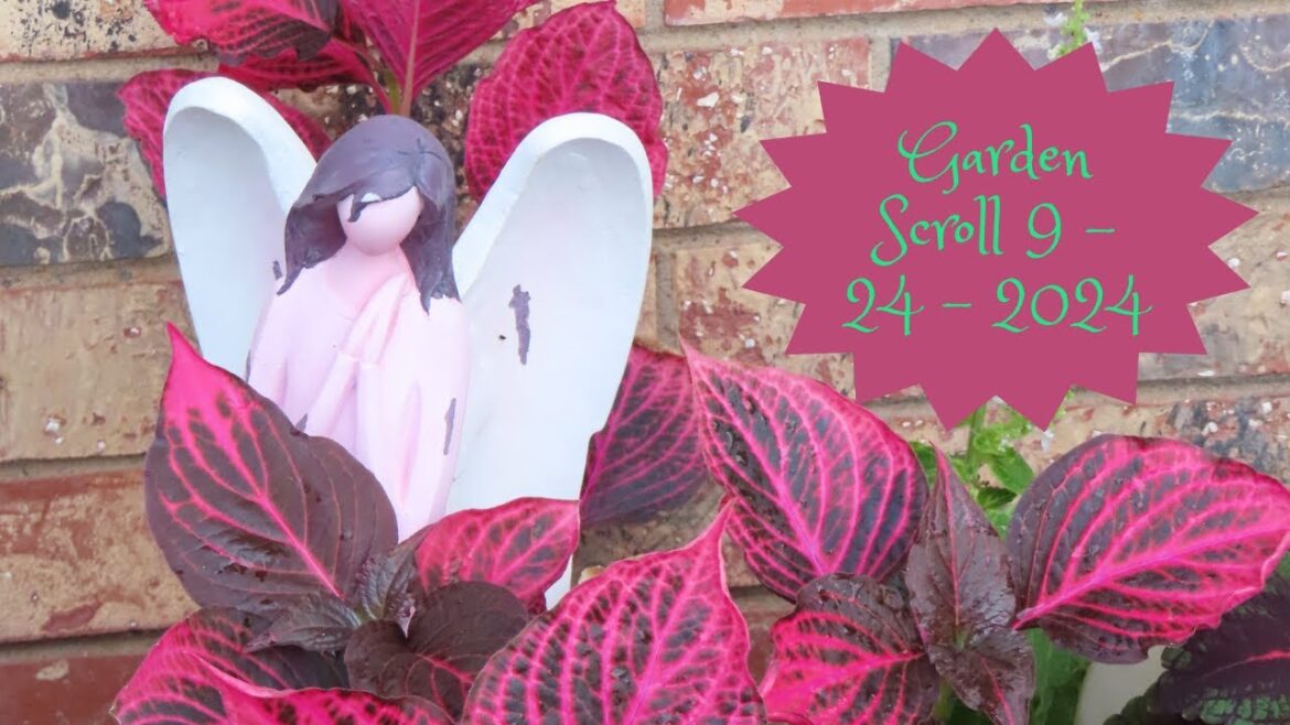 Garden Scroll. 9 - 24 - 2024