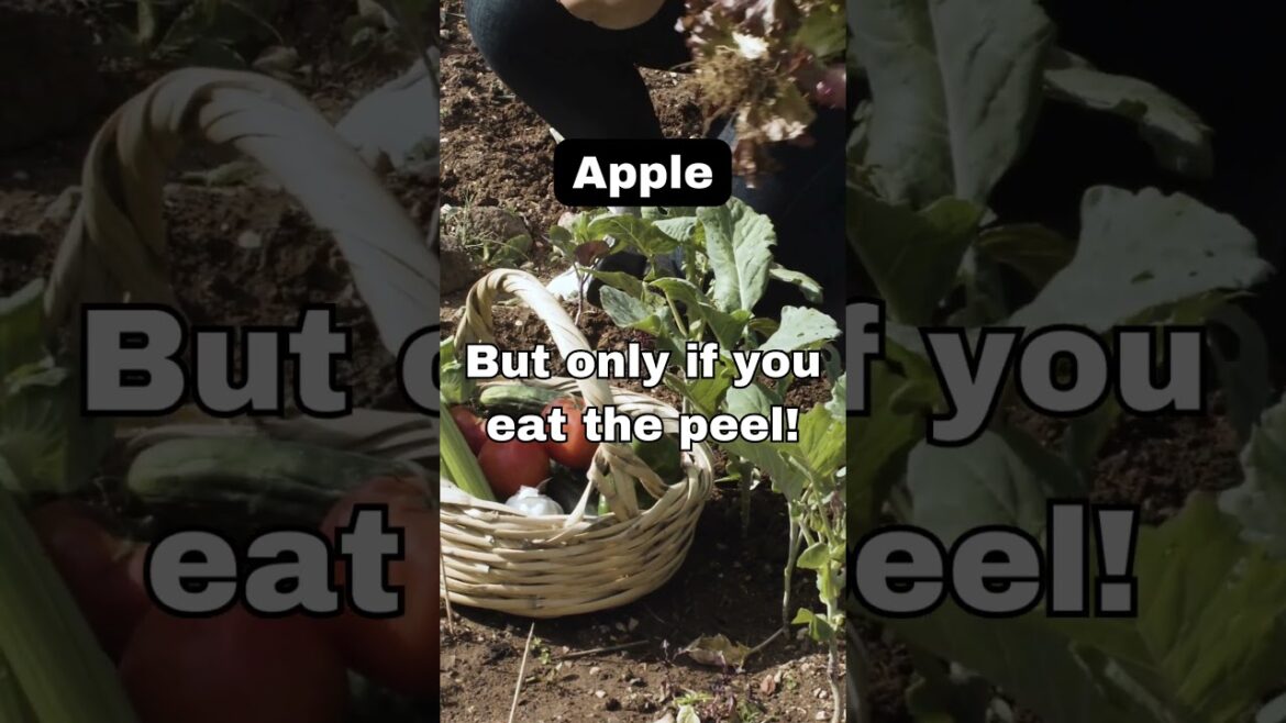 Backyard Bloom gardening - Apple