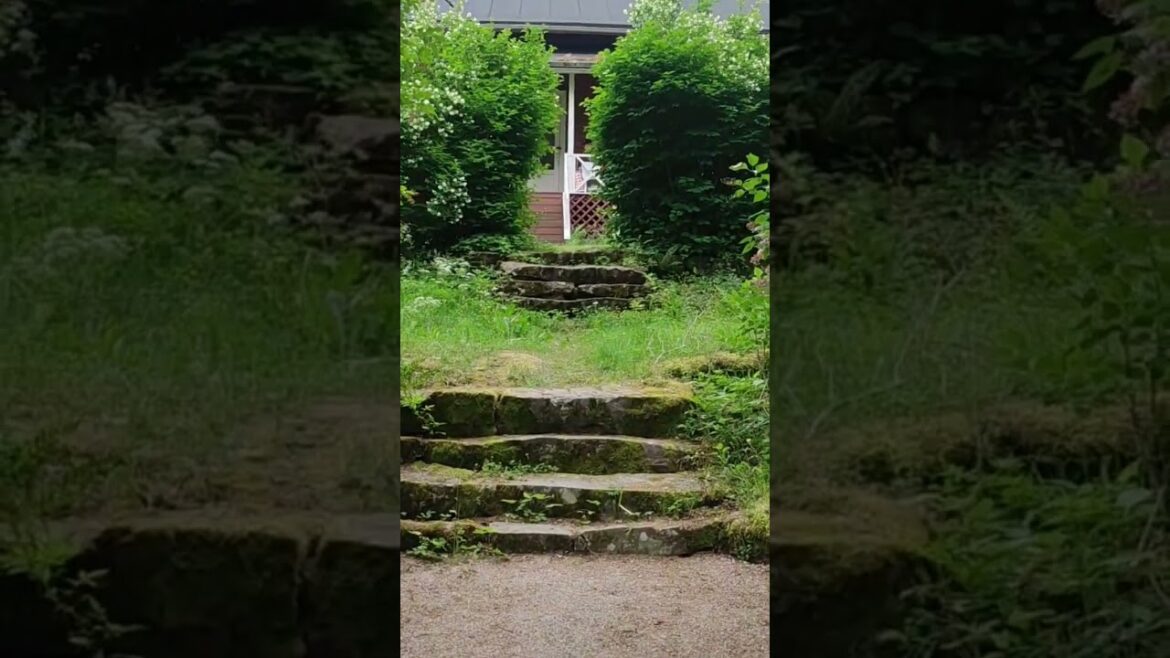 We arrived at archipelagos old cottage |  The sauna awaits bathers | Landscapes of the Finnish soul