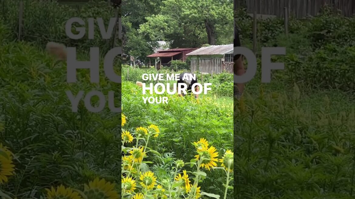 Comment SALES 101 and I’ll DM the link to sign up for my free live masterclass “ Where To Sell Your