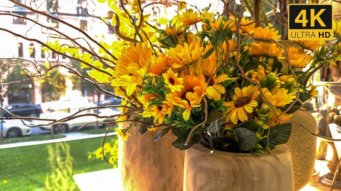 SECRET YELLOW FLOWERS GARDEN πΌ Sunflowers π» Yellow Perfection π 4K Video By MON AMIE #flowers SECRET YELLOW FLOWERS GARDEN πΌ Sunflowers π» Yellow Perfection π 4K Video By MON AMIE #flowers