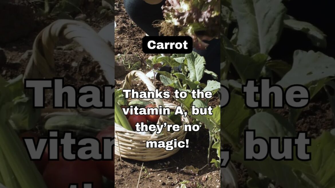 Backyard Bloom gardening – Carrot Backyard Bloom gardening - Carrot