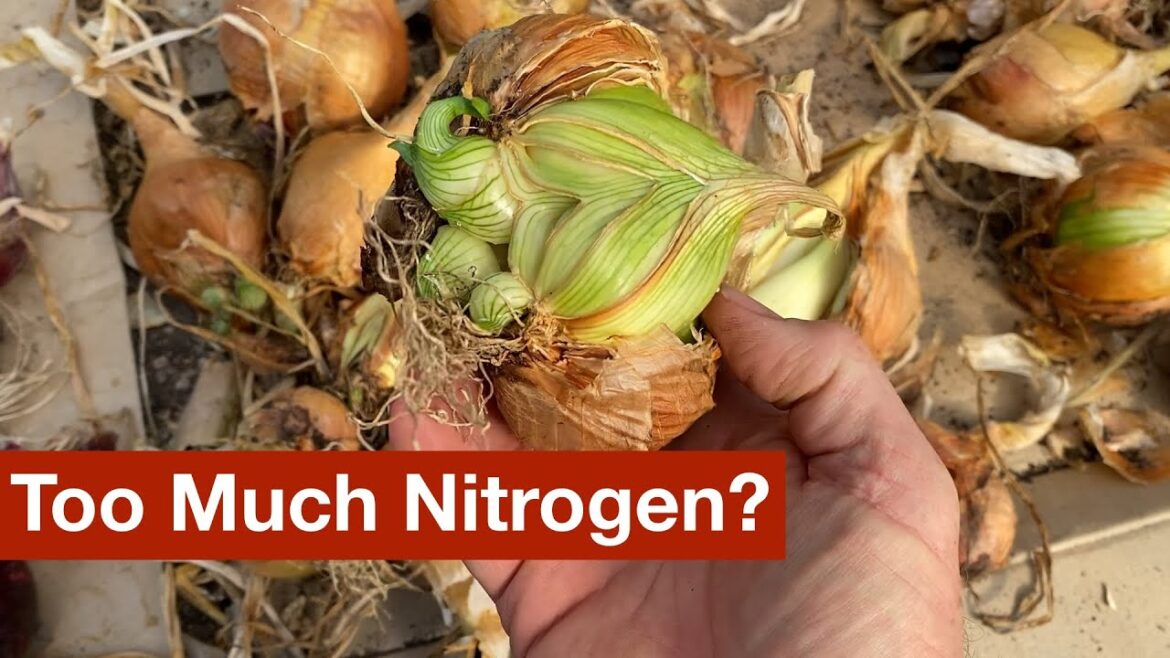 Too Much Nitrogen? Too Much Nitrogen?