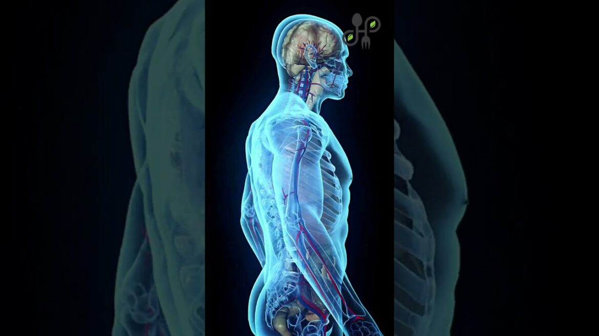 Why Hydration is Key for Good Digestion #viralshorts #hydration #digestion #healthyliving Why Hydration is Key for Good Digestion #viralshorts #hydration #digestion #healthyliving