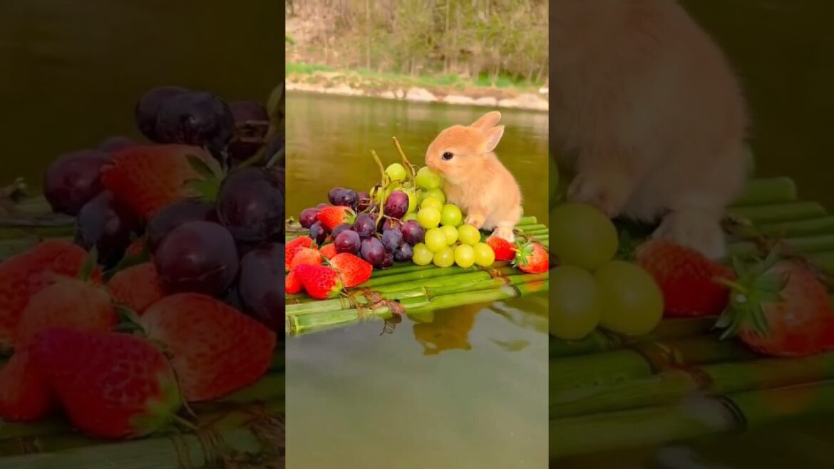 Like Beautiful Fruits 🍓#fruit #mango #satisfying#nature#shorts#pickle #garden#mangopickle#viralvideo