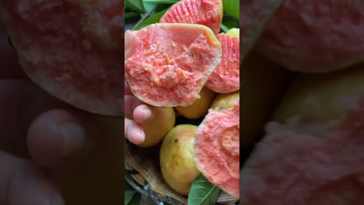 Eat fresh natural fruit 😋🍑🍑🍑🍑😋🍑😋#viralshort #viralvideo #viralreels #short