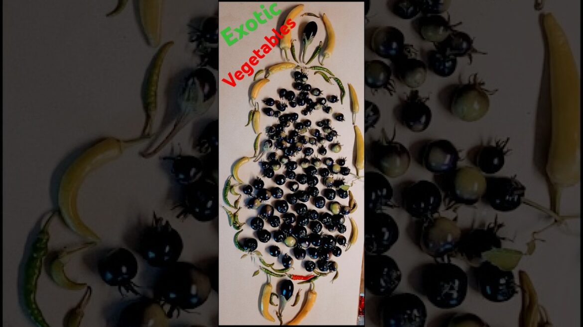Grow Your Own Fresh Veggies | Exotic Color Vegetable