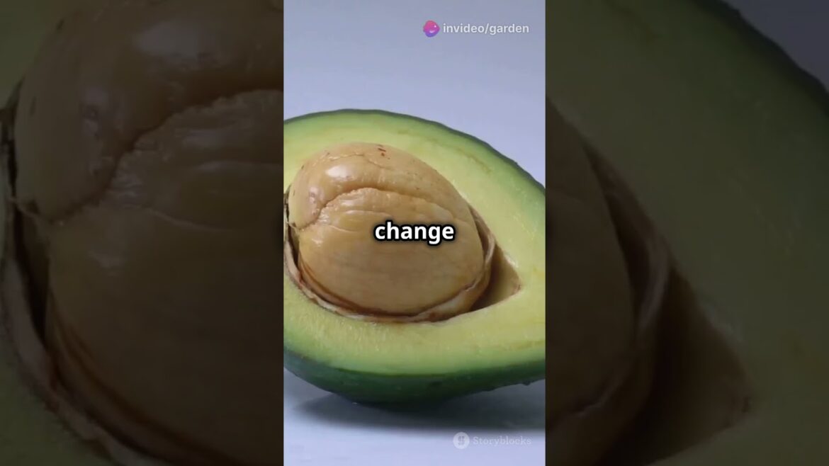 Grow an Avocado Plant from a Seed in 45 Seconds! #growavocado #avocado #avocadogardening #garden