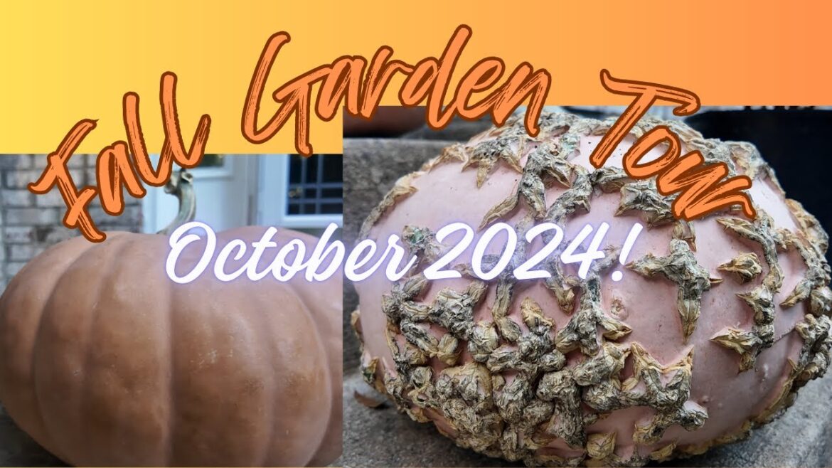 Container Gardening In Zone 7: Fall 2024 - October Edition